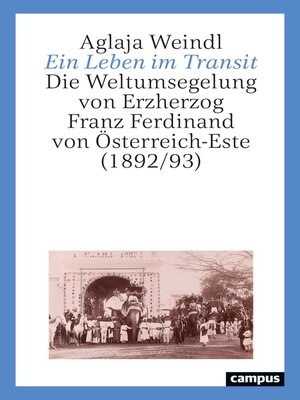 cover image of Ein Leben im Transit